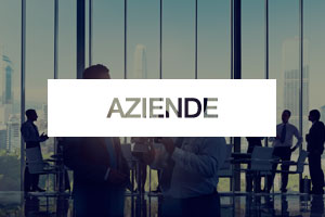 Aziende