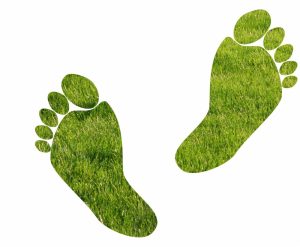 ICMQ accreditata (anche) per le verifiche sulla Carbon Footprint Systematic Approach