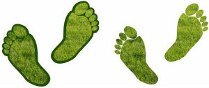 Carbon Footprint: lo strumento per le aziende per valutare l’impronta di carbonio dei propri prodotti