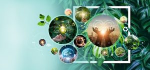 Bene la prima! Ma attenzione all’esgwashing