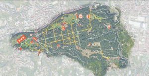 Verifica in ambito paesaggistico