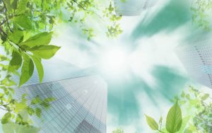 Claim ambientali: le principali novità introdotte dalla transizione alla norma ISO 17029